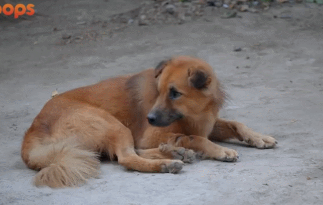 648_413gif 动态图 动图