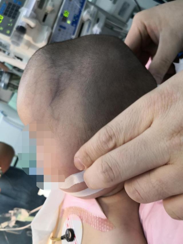 新闻搜索_新浪搜索_新浪网