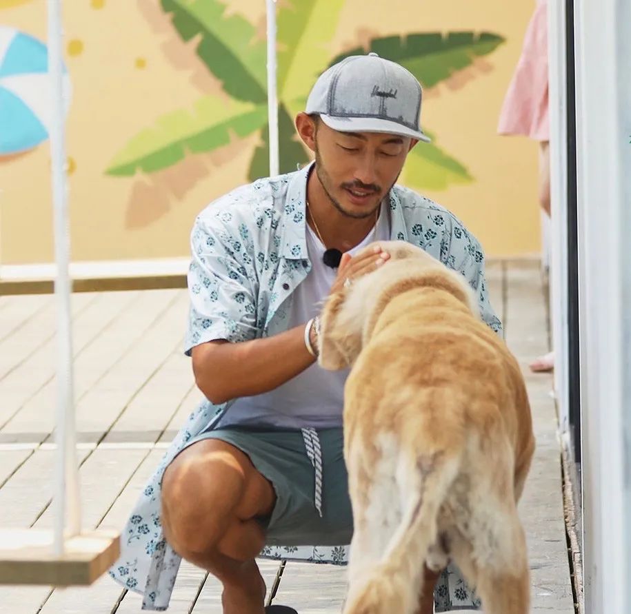 王一博恋恋不舍,justin韩东君随时想回来,《夏日冲浪店》魅力何在?