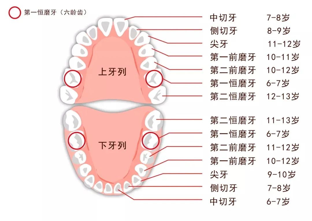 孩子长了双排牙我后悔莫及最伤孩子牙齿的不是糖竟然是