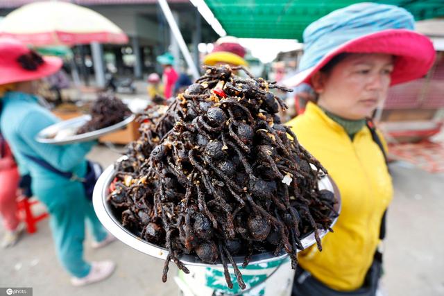 舌尖上的重口味柬埔寨风靡油炸蜘蛛你敢吃吗