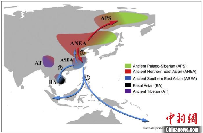 欧亚大陆全新世与遗传证据相关的主要人群迁徙情况。付巧妹研究组 供图