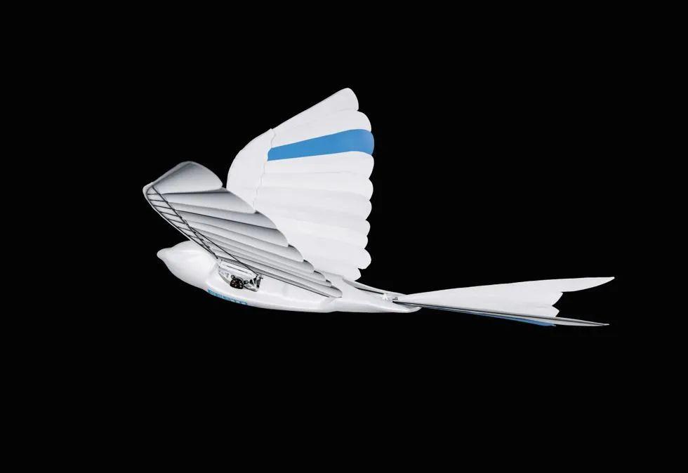 一家仿生上瘾的机器人公司比波士顿动力大67岁festo最新仿生雨燕问世