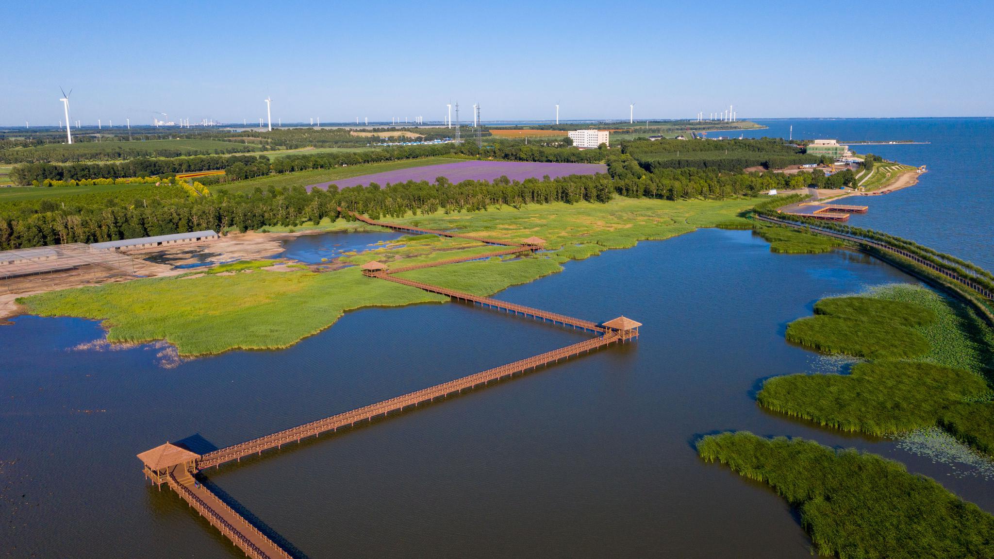 风光旖旎查干湖