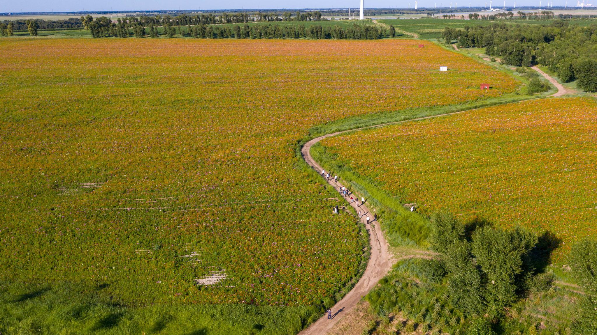 风光旖旎查干湖