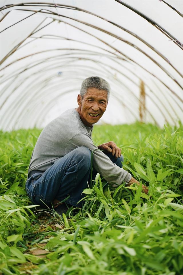 许凯为农村老人拍摄的照片.