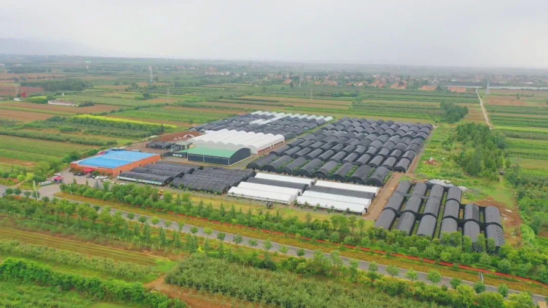 今晚对话宝鸡市委常委 扶风县委书记周宇松|对话书记|宝鸡|陕西