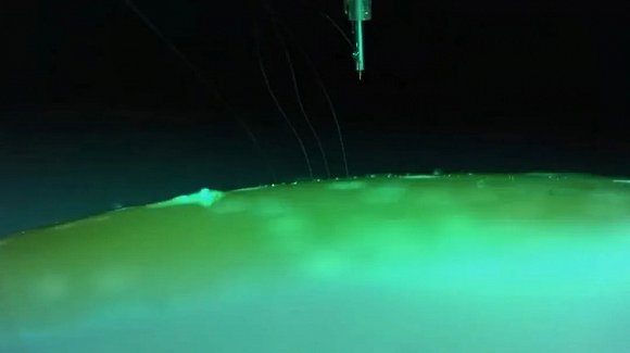 大脑直连音乐流？Neuralink脑机接口黑科技下月面世