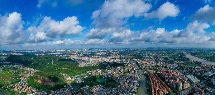 南沙大岗深入实施乡村振兴|南沙|大岗|大岗镇_新浪新闻