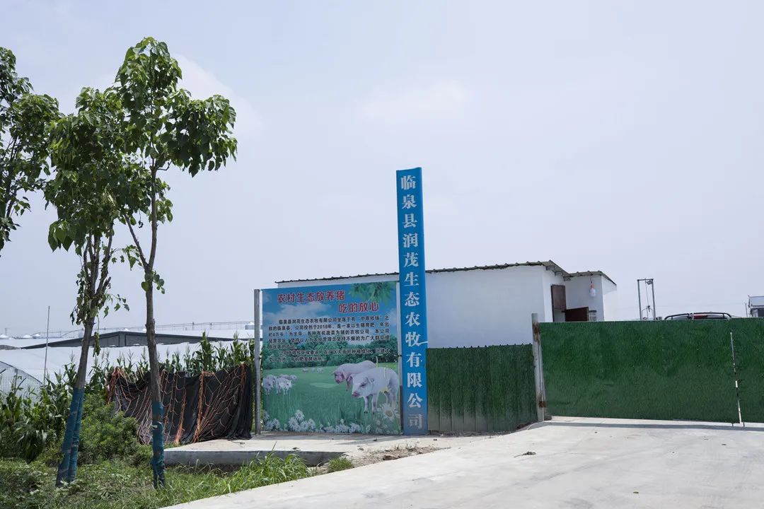 【走向我们的小康生活】产业发展篇—单桥镇