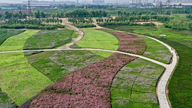 河北唐山践行“三个努力建成”谱新篇