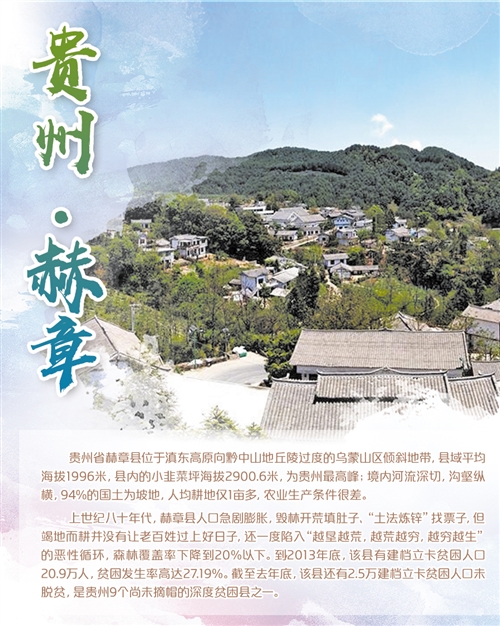 【决战终极脱贫攻坚】贵州赫章:力推生态产业化发展