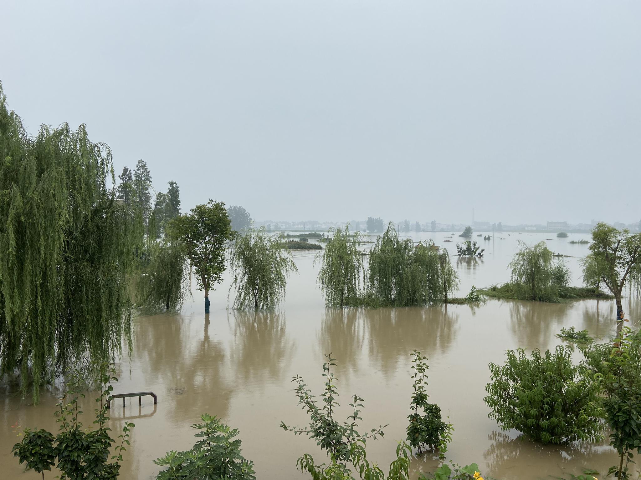 多图直击王家坝开闸泄洪蓄洪区村民之前抗旱现在抗洪