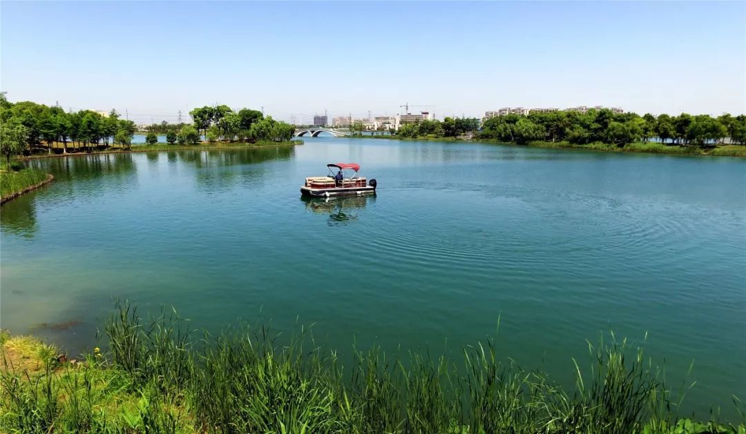 老街古樸靜謐澱山湖湖畔風光正好香村·祁莊恬淡如畫張浦金華村鄉村