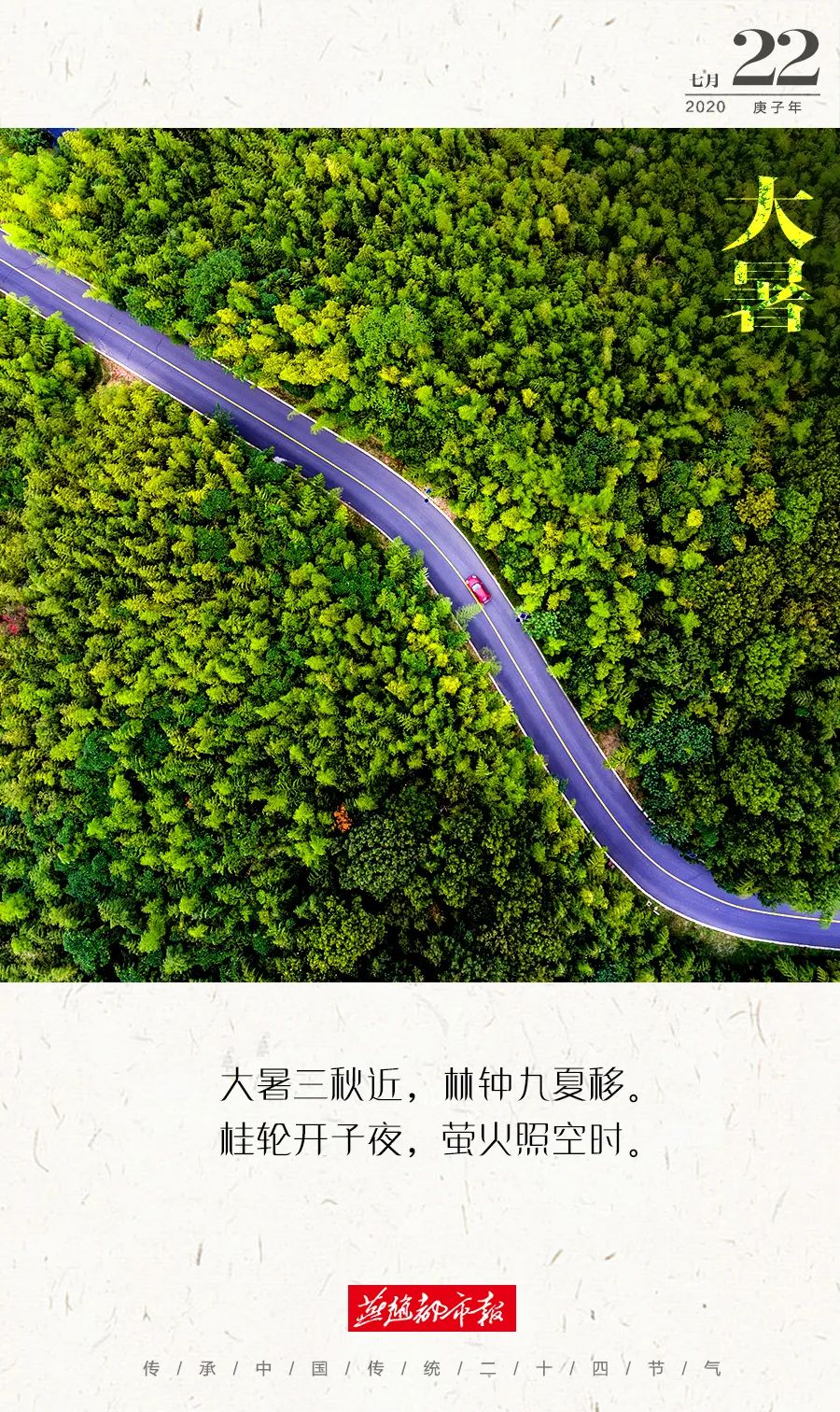 2020狗价格排名_2020年动物身价名单揭晓!这下长见识了,最贵的