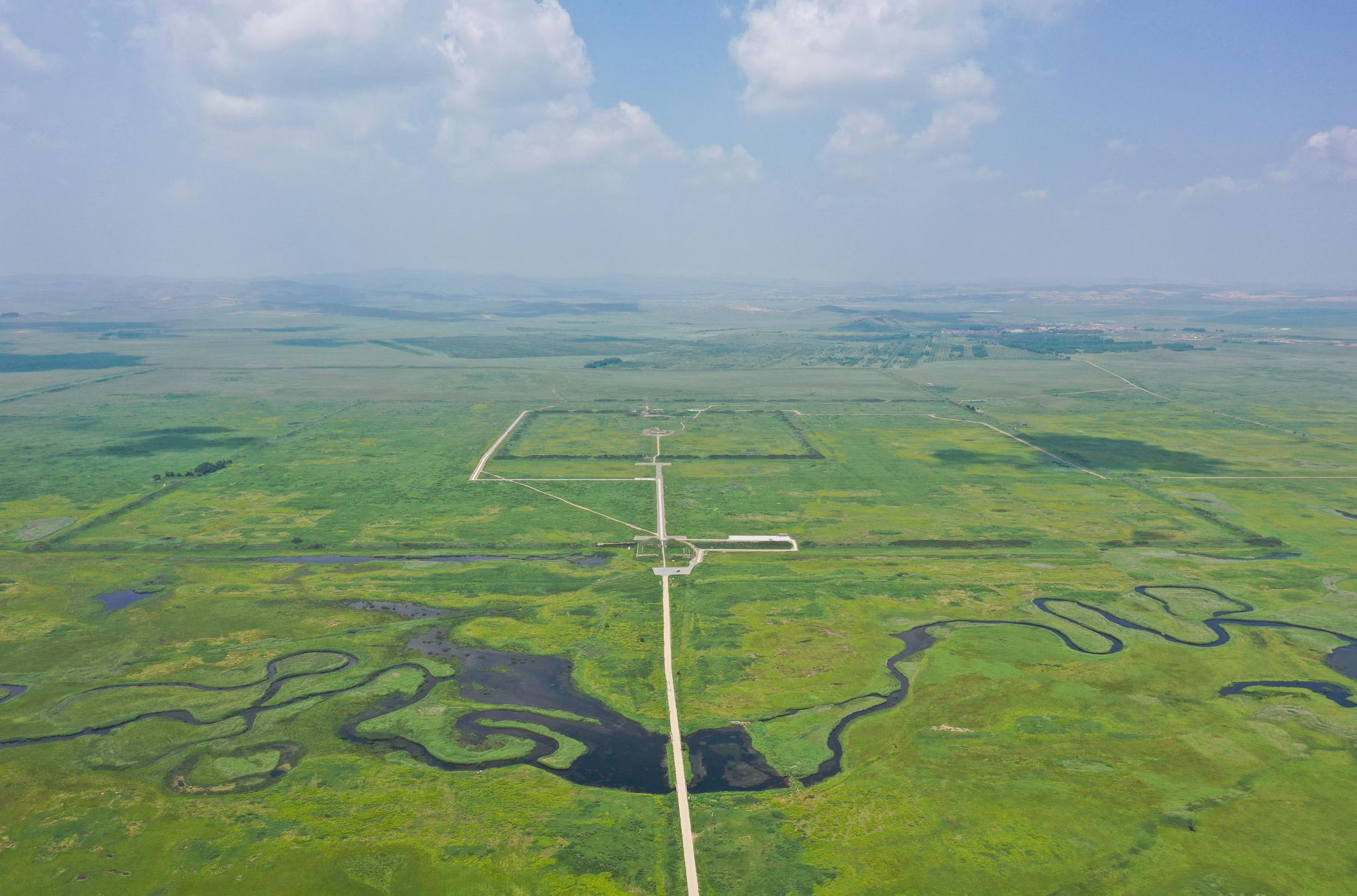 盛夏金莲川美景