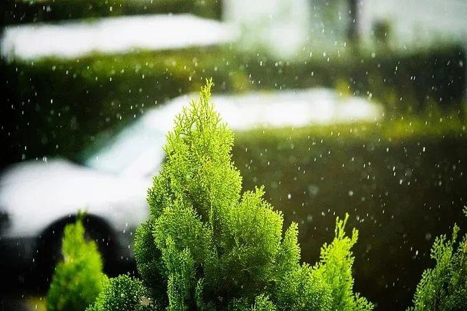 江苏今日出有梅,淮河以南梅雨量是常年的2.47倍