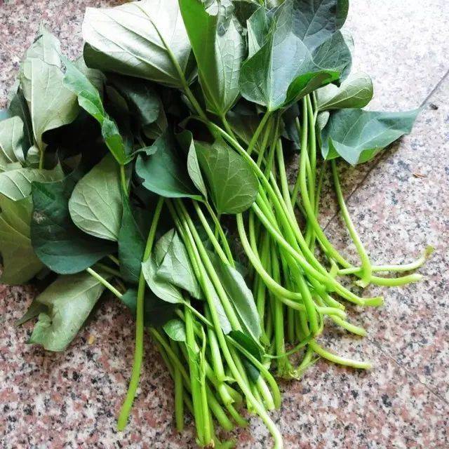 一把"红薯叶"消灭多年腰突症,泡酒用坚持用,腰腿疼全不见!