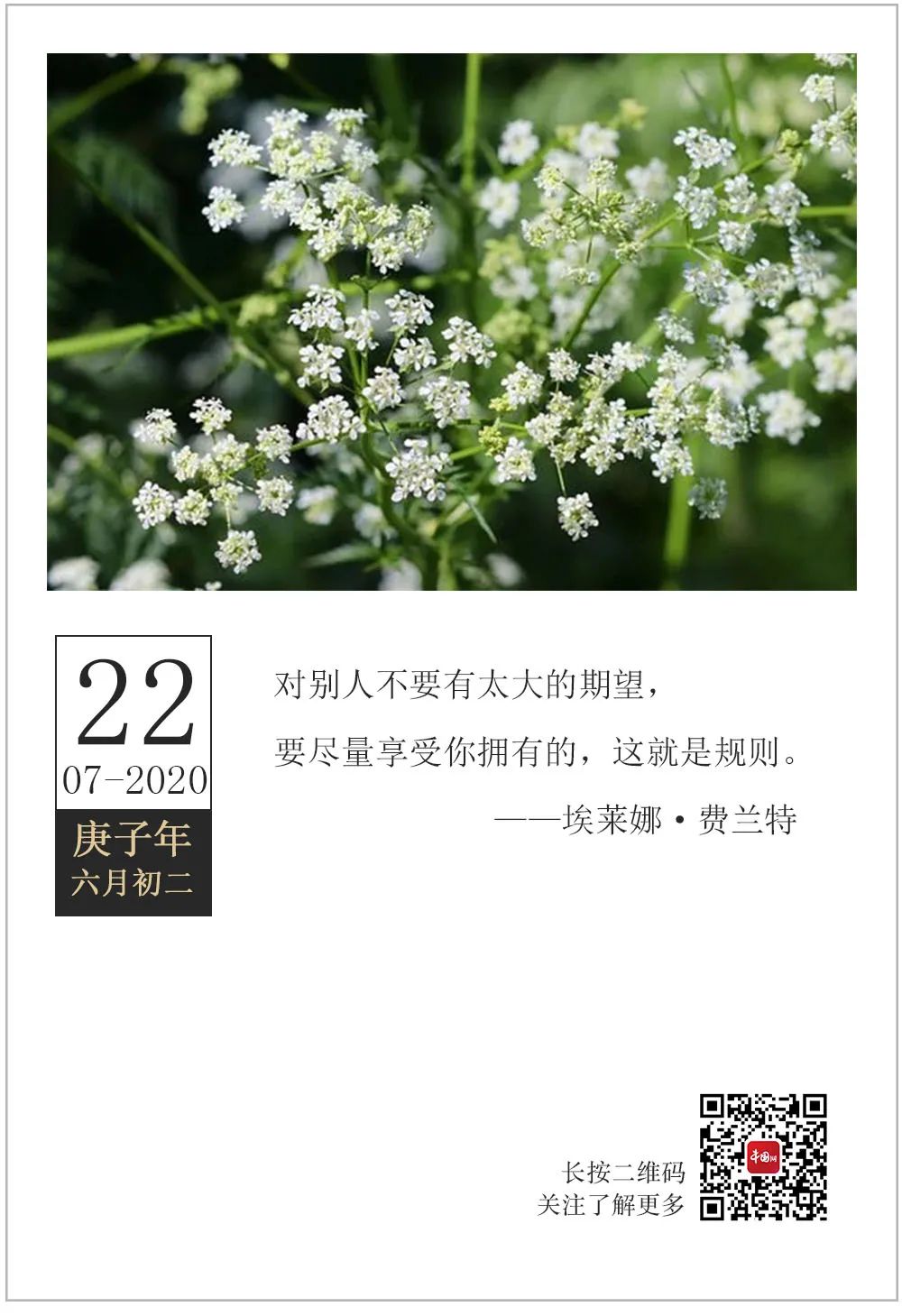 湛江早茶排行榜_『2020.05.09』轻松早茶