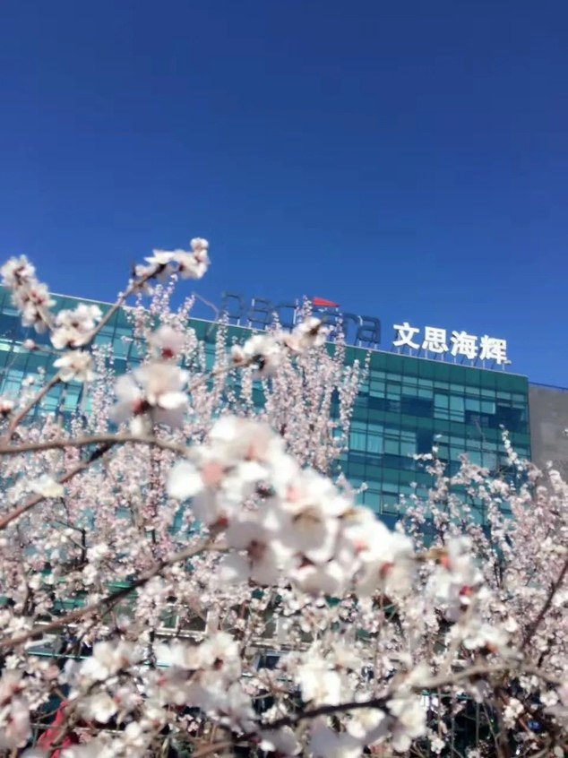 文思海辉硬核软实力