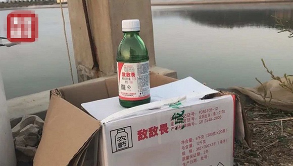 图片来源:央视新闻