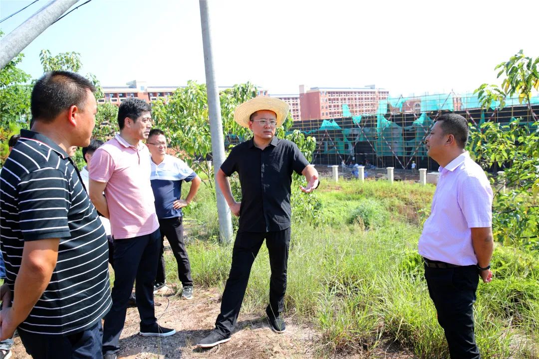 弋阳县委副书记,县长陈敏调研指导南岩镇栗桥村集体经济发展工作