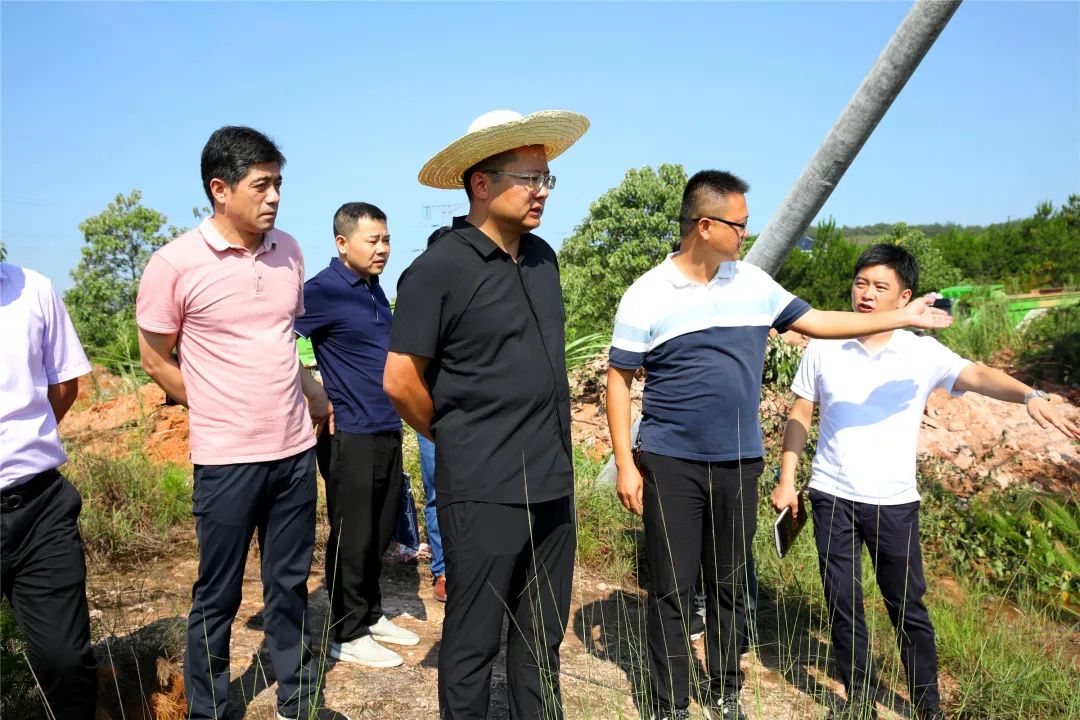 弋阳县委副书记,县长陈敏调研指导南岩镇栗桥村集体经济发展工作中国
