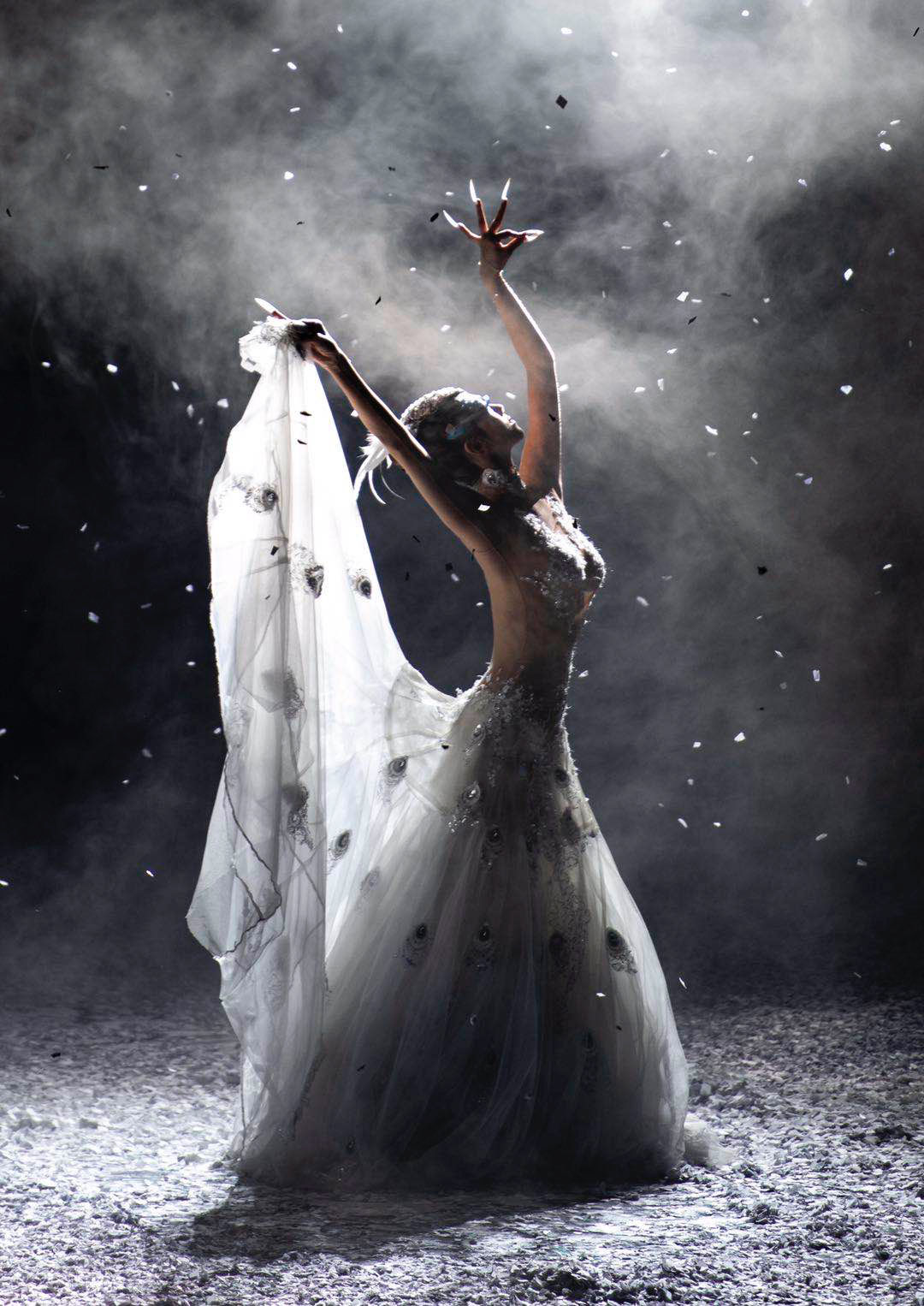 杨丽萍孔雀迟暮