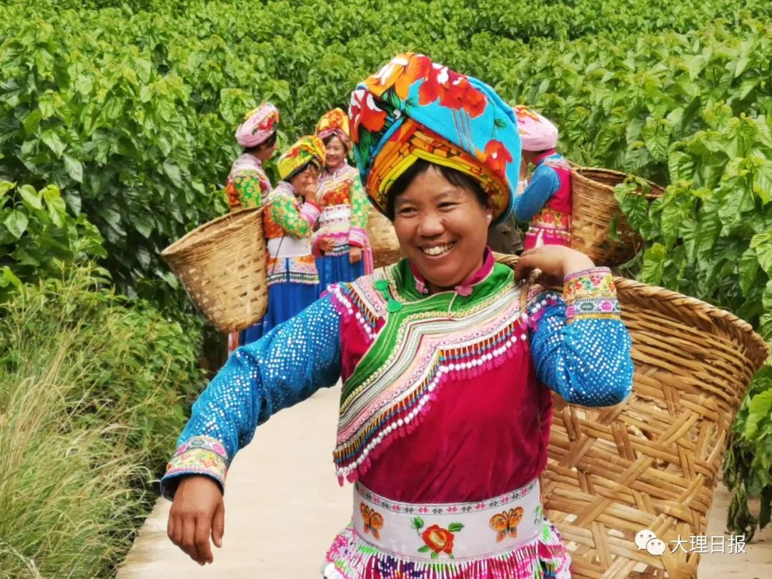 蚕花娘子采桑忙