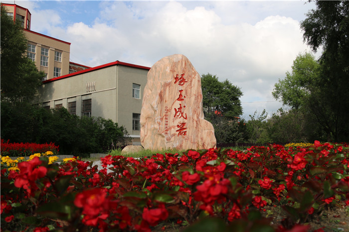 大庆职业学院盛夏的校园(技培校区)