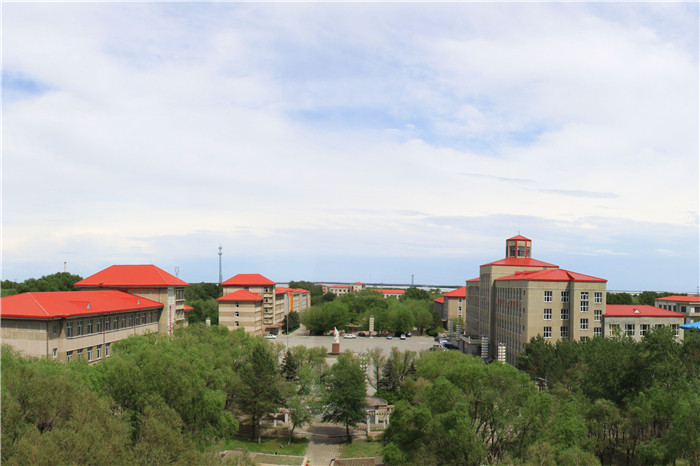 大庆职业学院盛夏的校园(技培校区)