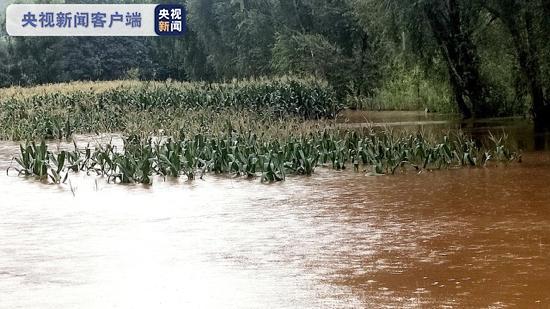 云南丽江玉龙县金沙江水位超警戒线 部分农田被淹