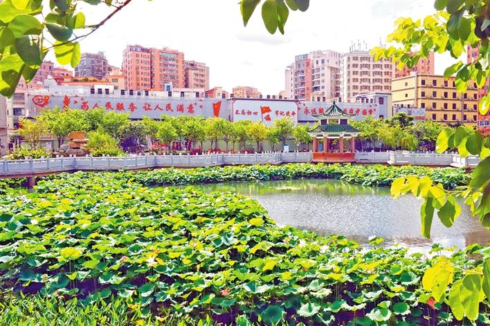 田寮荷花湖公园千荷竞放