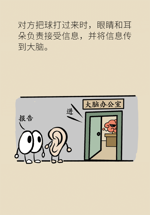 四肢发达的人一定头脑简单吗?专家为你揭秘运动的好处