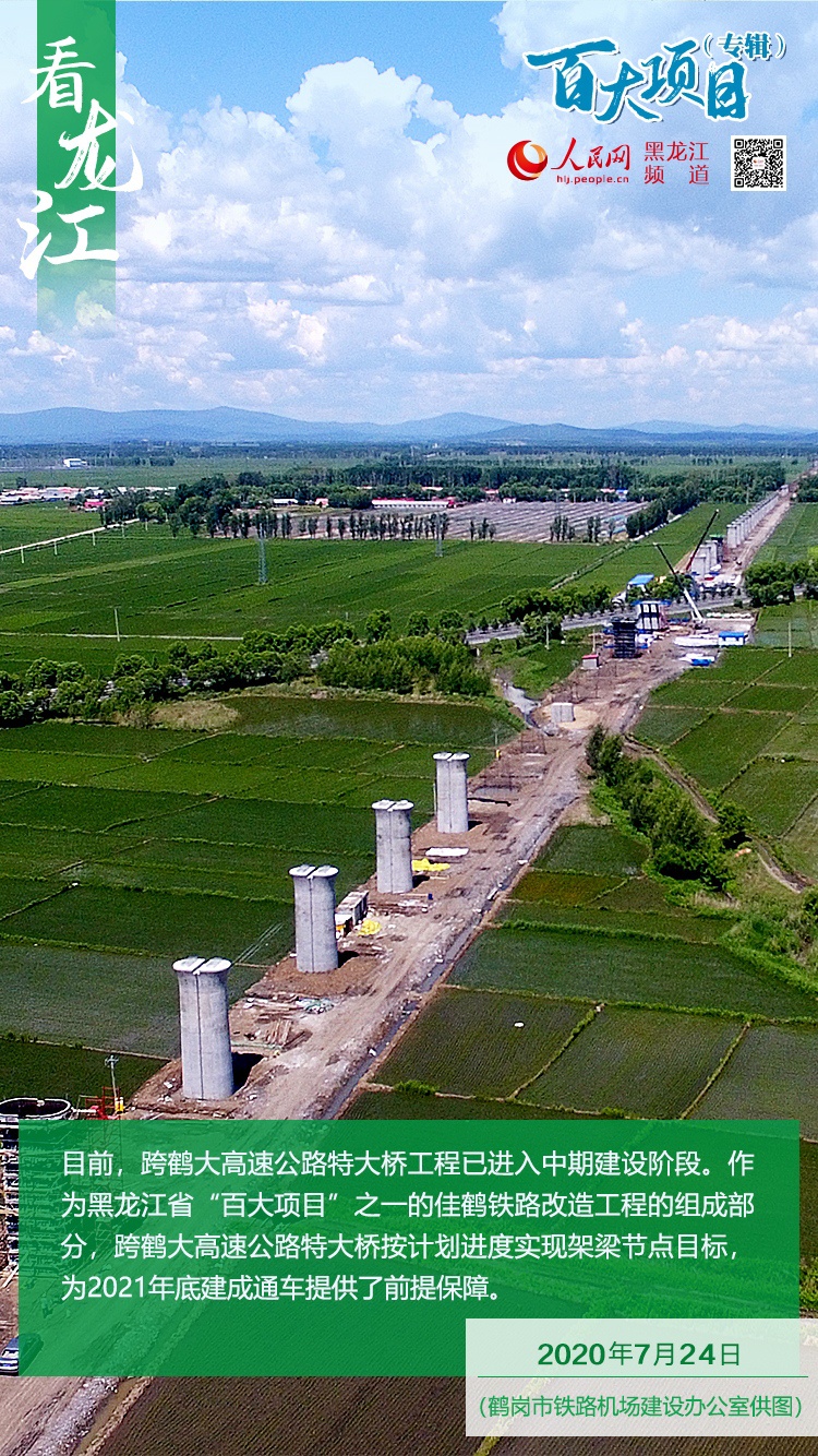 【看龙江】佳鹤铁路跨鹤大高速公路特大桥工程进入中期建设阶段