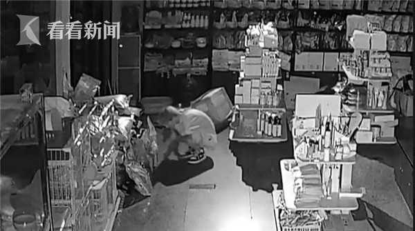 看看新闻|情有独钟？三男子深夜潜入宠物店 偷走“心爱”小猫