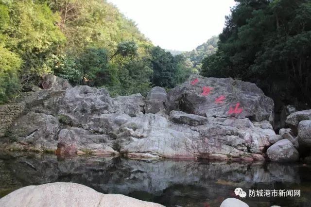 【防城港】守好十万大山 莲花金山银山
