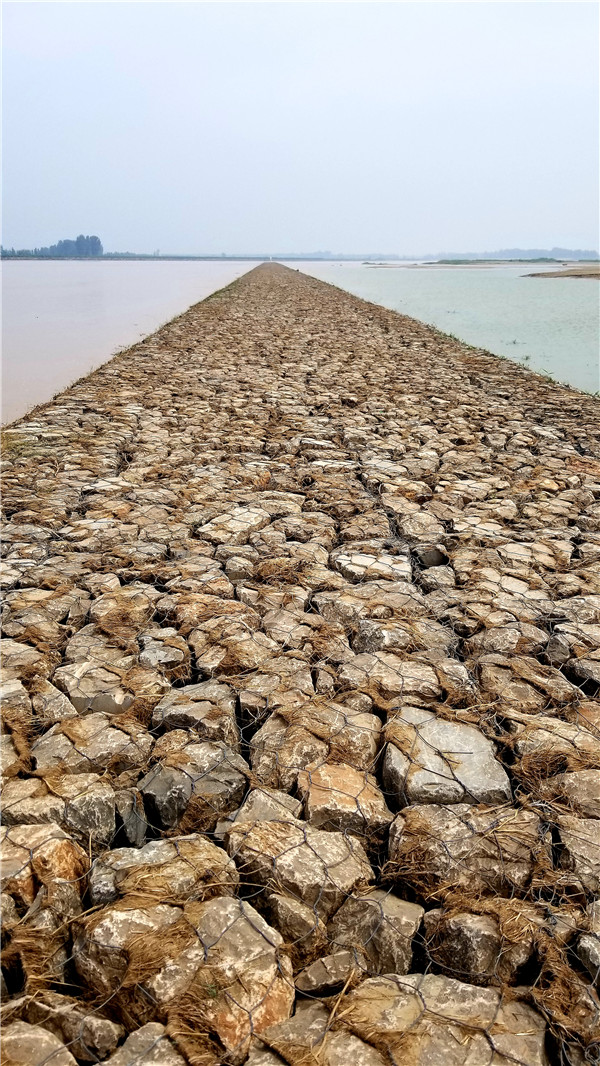 菏泽治黄防汛有绝招,潜坝让黄河的豆腐腰硬起来