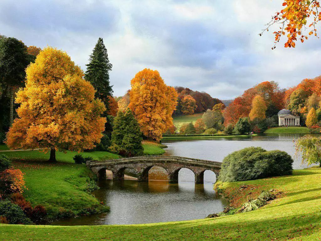花园系列英式花园自然浪漫系的优雅花园