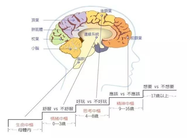 爆了,爆了,这次真的要爆了!