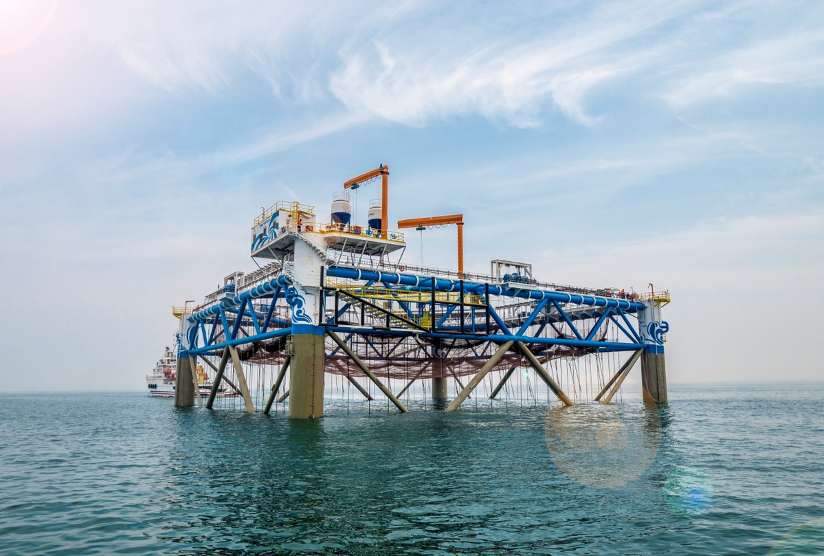 走向我们的小康生活山东烟台全力打造海洋牧场示范之城