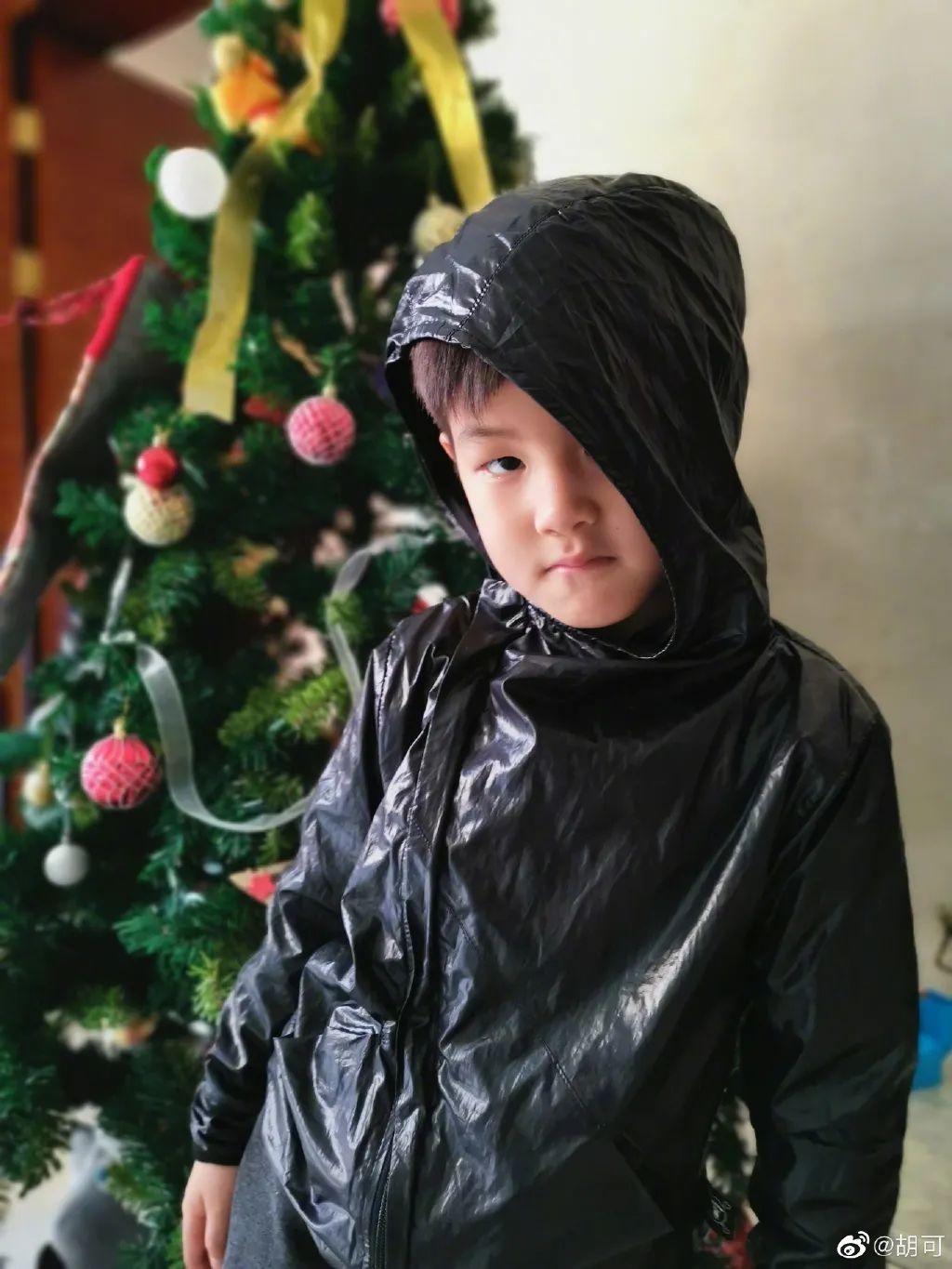 还记得爸爸去哪儿的小鱼儿吗他现在长这样