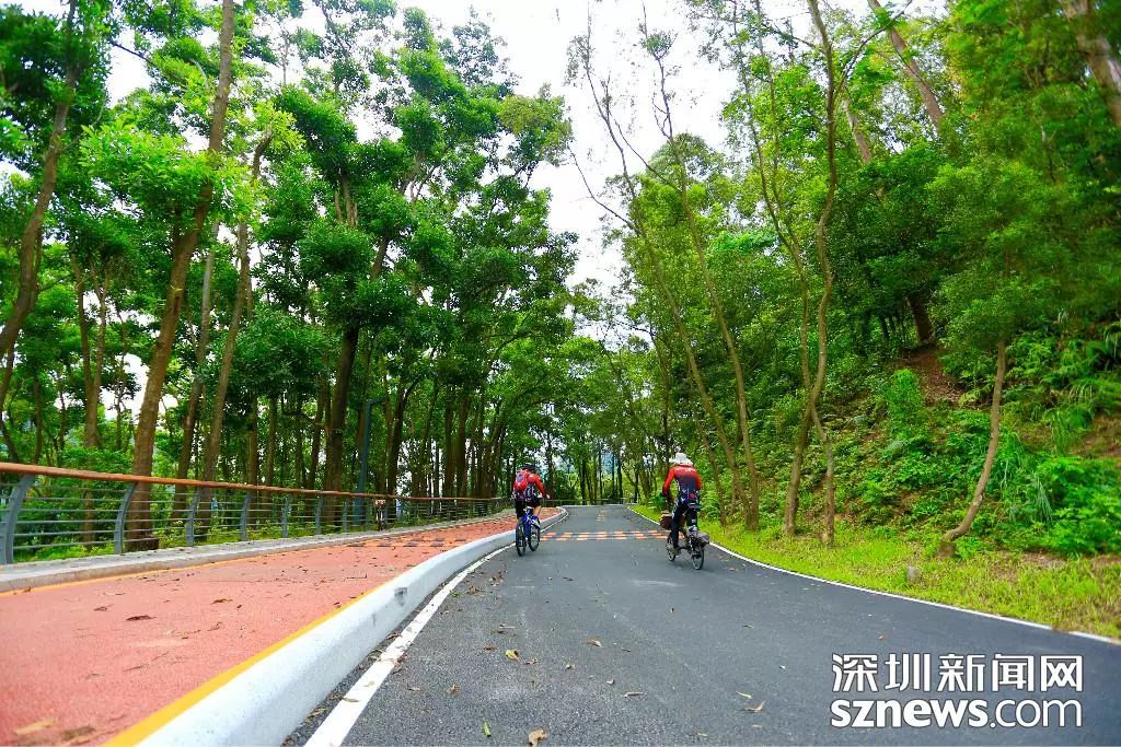 深圳今年将新建和改造提升超30个公园