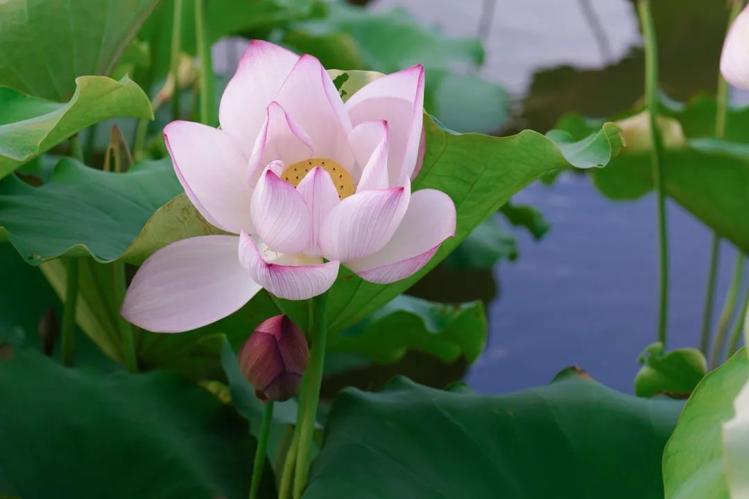 色婷婷综合缴情综