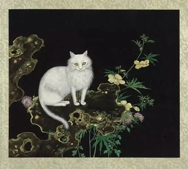 我们却不知其含义|猫|耄耋|寓意_新浪新闻