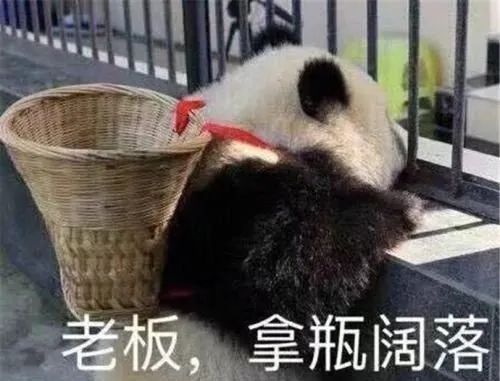 吃辣之后喝可乐怎么能这么爽爽爽爽爽爽爽