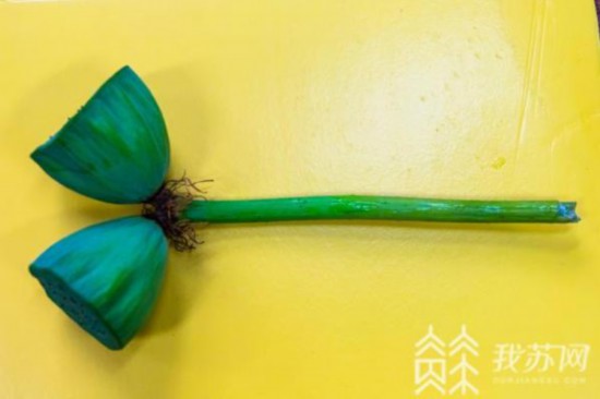 心疼！南京玄武湖并蒂莲被外地游客摘下来了