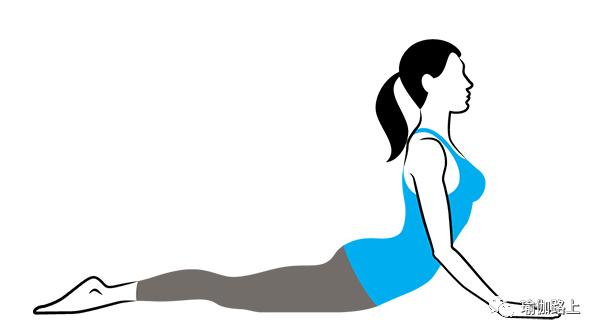 瑜伽「后弯 」体式中,臀部肌肉到底要不要收紧?