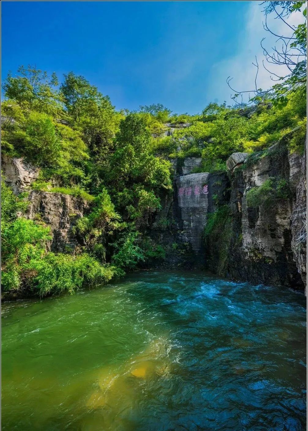 【好客山东 走进平阴】一场东方玫瑰花乡与清凉泉水之约