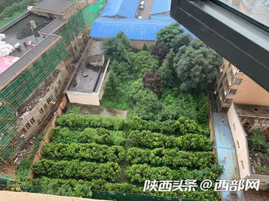 推开窗就看见墓地 西安一业主新房变"坟景房"